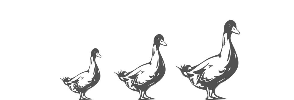 La Bassecour Gourmande | Eleveur producteur de foie gras et volailles à Avaux, Ardennes